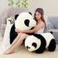Giant Panda Plushies