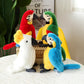 Cute Parrot Plushies