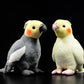 Parrot Plushies - QMartCo
